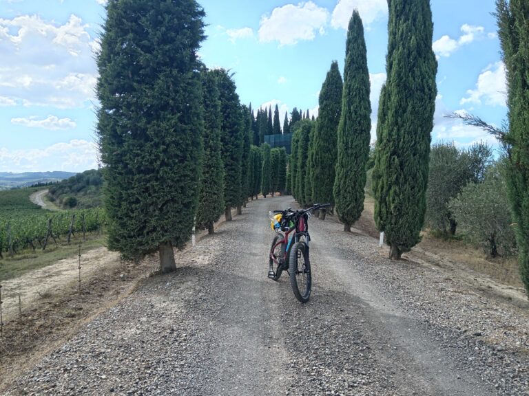 1000095663_compressed