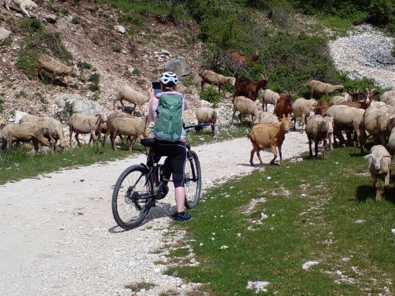 20230522_155331_compressed