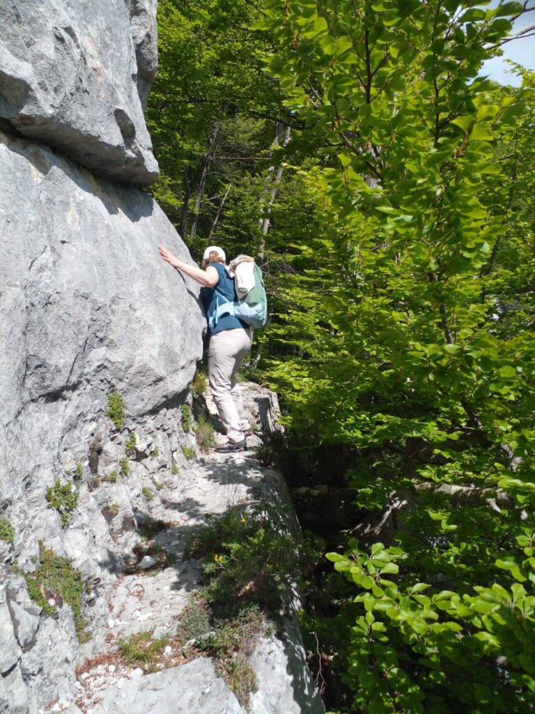 20230527_160151-min-scaled_compressed