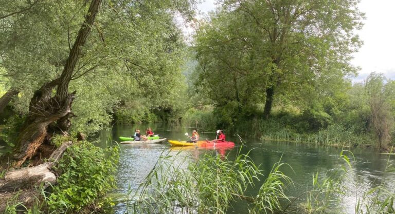 IMG-20230529-WA0055-min_compressed